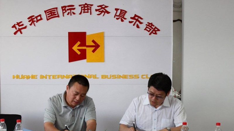 股权架构设计：企业稳健发展的基石**